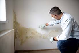 Oceanside, NY Mold Inspection Company